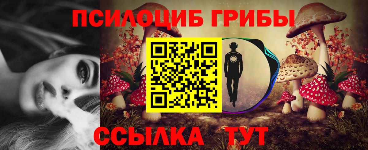 Галлюциногенные грибы мухоморы  Вход с VPN  Великий Новгород  Псилоцибиновые грибы мухоморы 