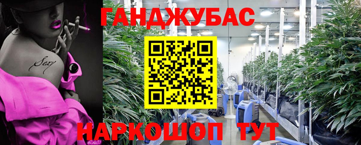 Канабис Amnesia  Бошки Шишки тримм  Марихуана план  Вход с VPN  Великий Новгород 